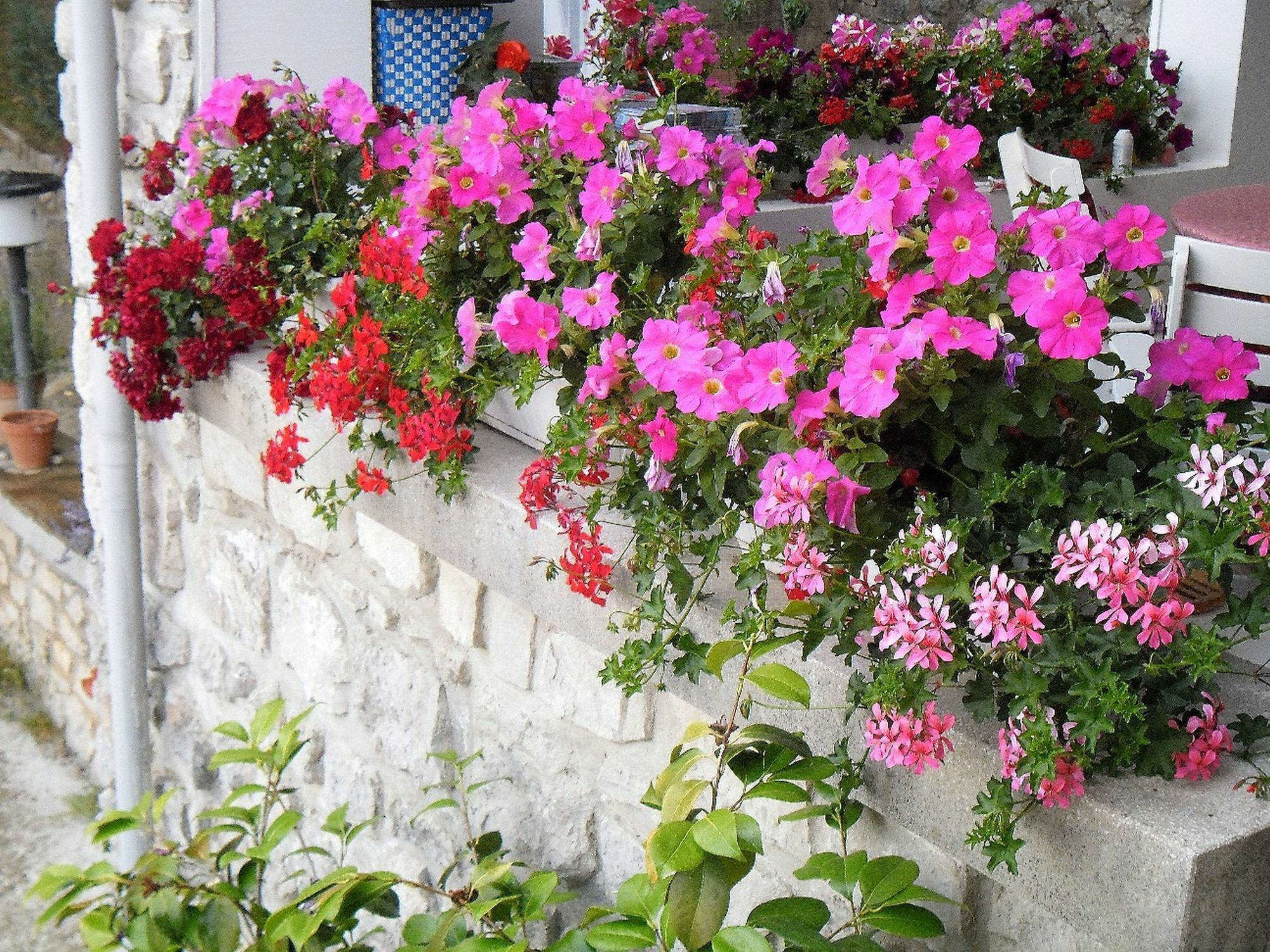 Apartments Kestenovi Dvori Opatija Exterior photo